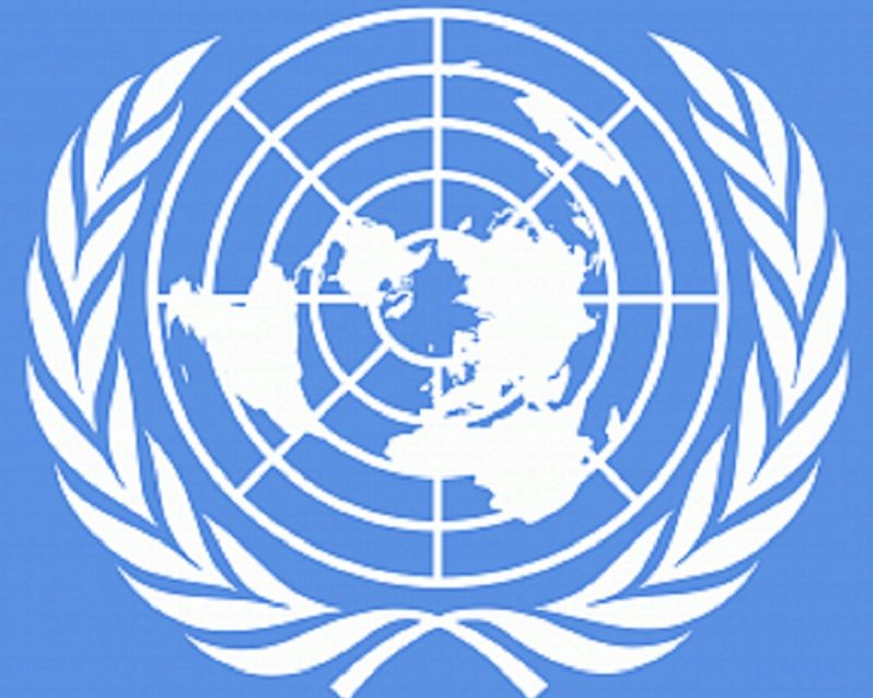Програма «Молодіжний делегат України до ООН»