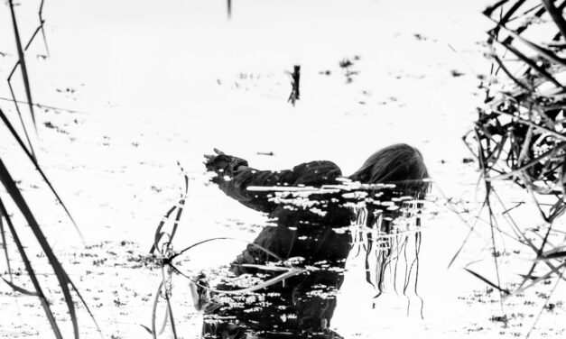 Фотосвітлина «З глибини» Костянтина Родигіна здобула перемогу в конкурсі «Сфера підсвідомості 2024»